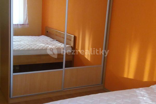 1 bedroom with open-plan kitchen flat to rent, 50 m², Hrázka, Brno, Jihomoravský Region