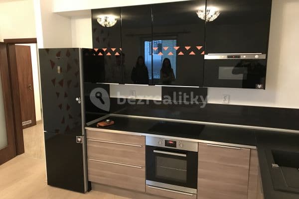 1 bedroom with open-plan kitchen flat to rent, 58 m², Brněnská Pole, 1 bedroom with open-plan kitchen flat to rent, 58 m², Brněnská Pole,
