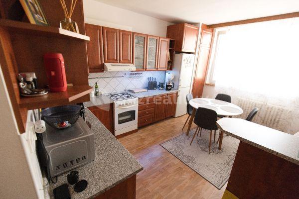 1 bedroom with open-plan kitchen flat to rent, 46 m², Prokofjevova, Brno