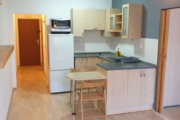 1 bedroom with open-plan kitchen flat to rent, 38 m², Hnězdenská, Praha 1 bedroom with open-plan kitchen flat to rent, 38 m², Hnězdenská, Praha