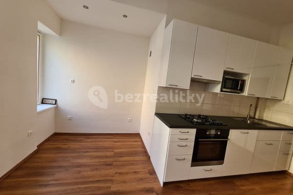 1 bedroom with open-plan kitchen flat to rent, 53 m², Víta Nejedlého, Praha 3 1 bedroom with open-plan kitchen flat to rent, 53 m², Víta Nejedlého, Praha 3
