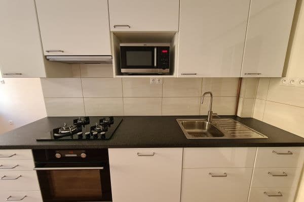 1 bedroom with open-plan kitchen flat to rent, 53 m², Víta Nejedlého, Praha 3 1 bedroom with open-plan kitchen flat to rent, 53 m², Víta Nejedlého, Praha 3