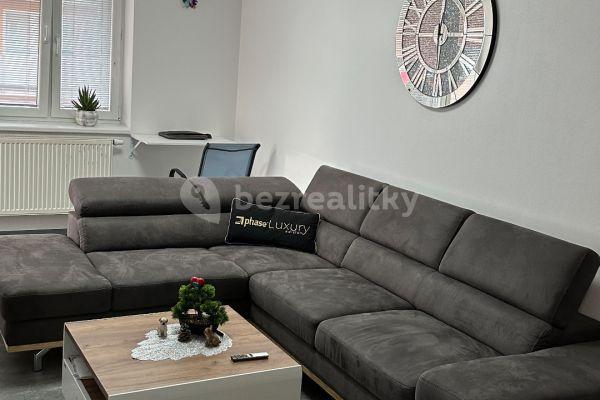 1 bedroom with open-plan kitchen flat to rent, 56 m², Družební, Olomouc