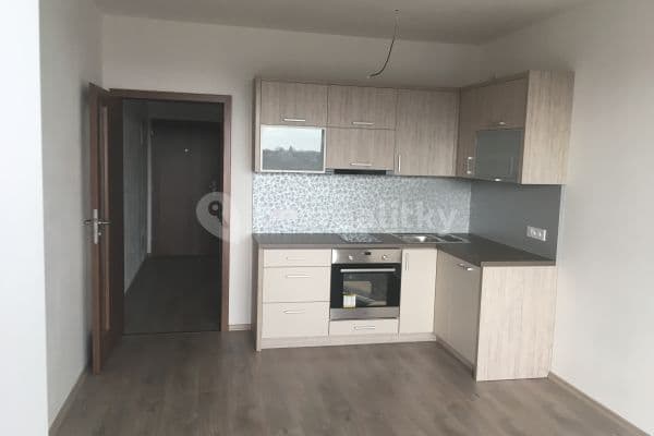 Studio flat to rent, 30 m², Topolová, Slavonín Studio flat to rent, 30 m², Topolová, Slavonín