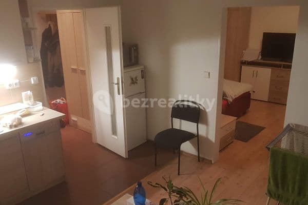 1 bedroom with open-plan kitchen flat to rent, 42 m², Gagarinova, Liberec