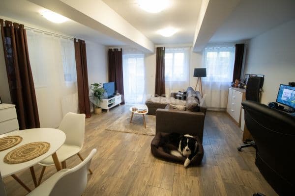 1 bedroom with open-plan kitchen flat to rent, 48 m², Švehlova, Hradec Králové