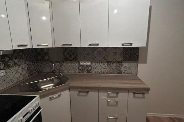 1 bedroom with open-plan kitchen flat to rent, 48 m², Honzíkova, Praha 1 bedroom with open-plan kitchen flat to rent, 48 m², Honzíkova, Praha