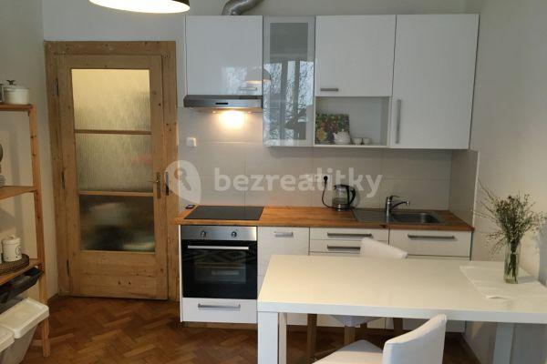 1 bedroom with open-plan kitchen flat to rent, 45 m², Kouřimská, Praha