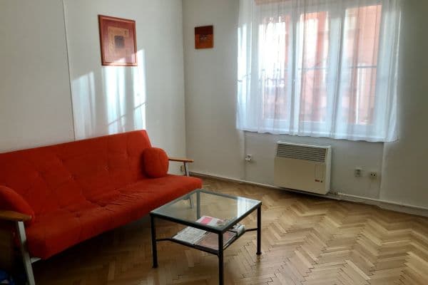 1 bedroom with open-plan kitchen flat to rent, 60 m², U Průhonu, Praha 1 bedroom with open-plan kitchen flat to rent, 60 m², U Průhonu, Praha