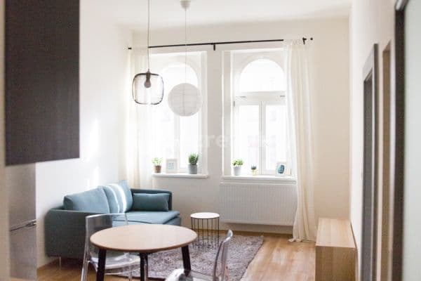 1 bedroom with open-plan kitchen flat to rent, 55 m², Schnirchova, Prague 1 bedroom with open-plan kitchen flat to rent, 55 m², Schnirchova, Prague
