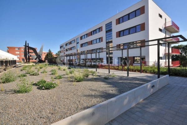 1 bedroom with open-plan kitchen flat to rent, 46 m², 42, Brno 1 bedroom with open-plan kitchen flat to rent, 46 m², 42, Brno