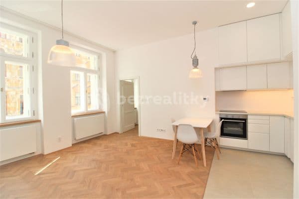 1 bedroom with open-plan kitchen flat to rent, 50 m², Veverkova, Prague, Prague