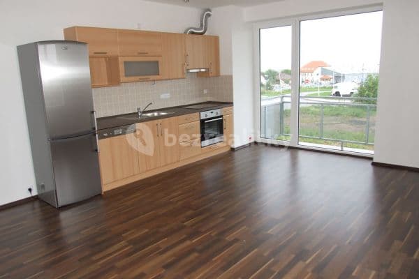 1 bedroom with open-plan kitchen flat to rent, 56 m², Vstupní, Plzeň 1 bedroom with open-plan kitchen flat to rent, 56 m², Vstupní, Plzeň