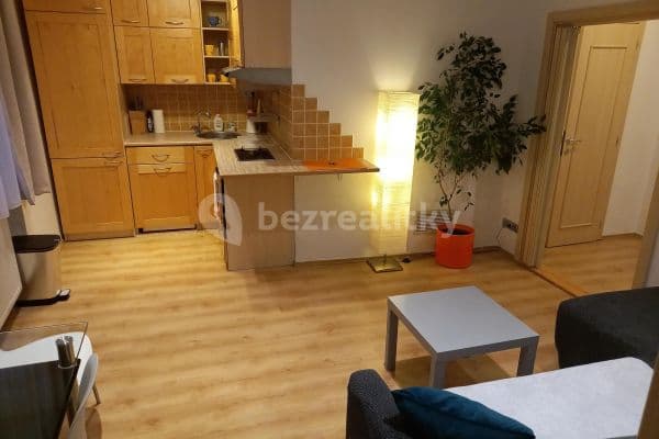 1 bedroom with open-plan kitchen flat to rent, 45 m², Michalská, Prague, Prague