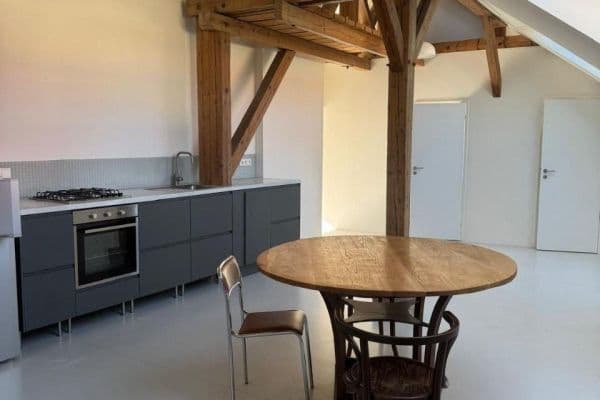 1 bedroom with open-plan kitchen flat to rent, 85 m², Jeronýmova, Praha 1 bedroom with open-plan kitchen flat to rent, 85 m², Jeronýmova, Praha