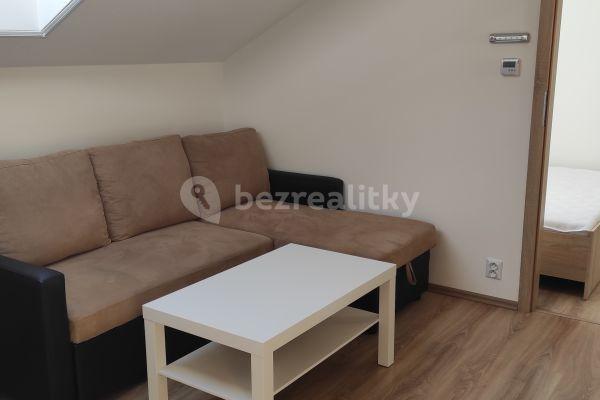 1 bedroom with open-plan kitchen flat to rent, 35 m², Na Návsi, Čestlice