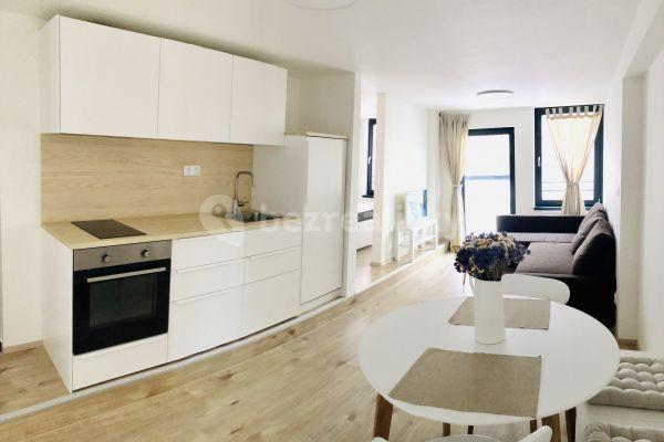 1 bedroom with open-plan kitchen flat to rent, 41 m², Rostislavova, Praha