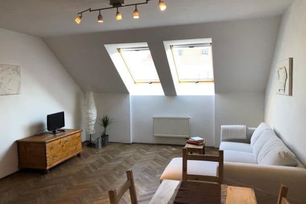 1 bedroom with open-plan kitchen flat to rent, 64 m², Na Plzeňce, Prague, Prague 1 bedroom with open-plan kitchen flat to rent, 64 m², Na Plzeňce, Prague, Prague
