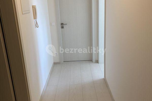 1 bedroom with open-plan kitchen flat to rent, 51 m², Praha - Vysočany