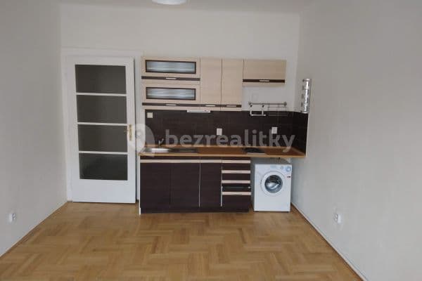 Small studio flat to rent, 25 m², 28. Pluku, Prague, Prague