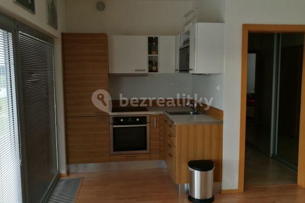 1 bedroom with open-plan kitchen flat to rent, 55 m², Merkurova, Praha