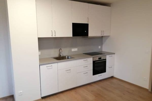 1 bedroom with open-plan kitchen flat to rent, 59 m², Svatošových, Praha 1 bedroom with open-plan kitchen flat to rent, 59 m², Svatošových, Praha