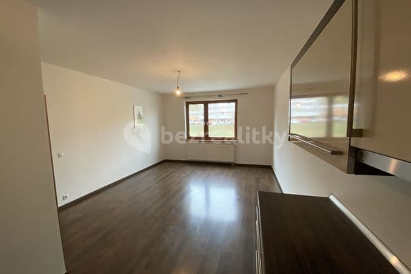 1 bedroom with open-plan kitchen flat to rent, 50 m², Plzeňská, Prague, Prague