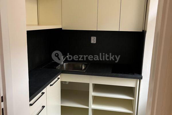 1 bedroom with open-plan kitchen flat to rent, 35 m², Sevastopolská, Praha