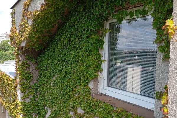 2 bedroom flat to rent, 57 m², Mezivrší, Praha 2 bedroom flat to rent, 57 m², Mezivrší, Praha