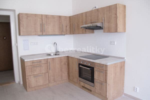 1 bedroom with open-plan kitchen flat to rent, 62 m², Zoubkova, Praha 1 bedroom with open-plan kitchen flat to rent, 62 m², Zoubkova, Praha