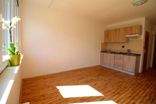 Studio flat to rent, 22 m², Plzeňská, Ostrava Studio flat to rent, 22 m², Plzeňská, Ostrava