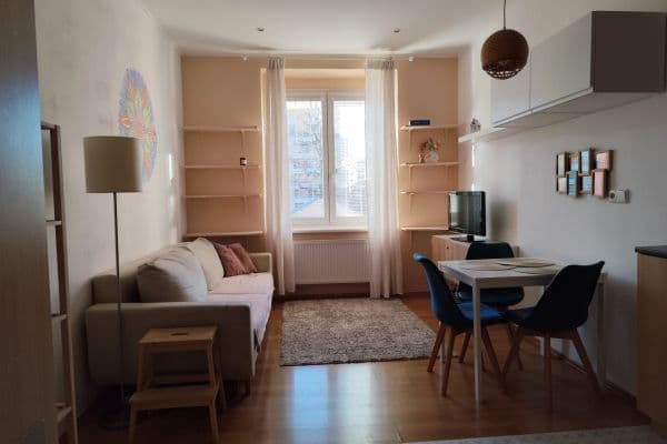 1 bedroom with open-plan kitchen flat to rent, 50 m², U Svobodárny, Praha 1 bedroom with open-plan kitchen flat to rent, 50 m², U Svobodárny, Praha