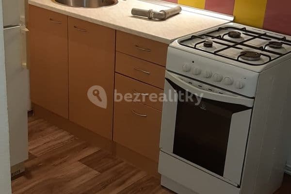 1 bedroom with open-plan kitchen flat to rent, 52 m², Nad Zlíchovem, Prague, Prague