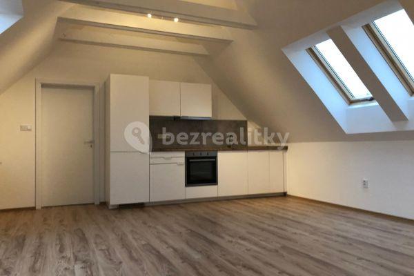 1 bedroom with open-plan kitchen flat to rent, 68 m², Rozdělov, Chyňava