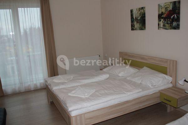 Small studio flat to rent, 40 m², Oty Bubeníčka, Uhříněves