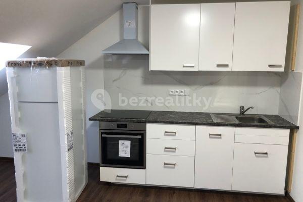 1 bedroom with open-plan kitchen flat to rent, 40 m², Vaníčkova, Brno