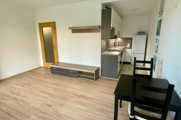 1 bedroom with open-plan kitchen flat to rent, 53 m², Brno 1 bedroom with open-plan kitchen flat to rent, 53 m², Brno