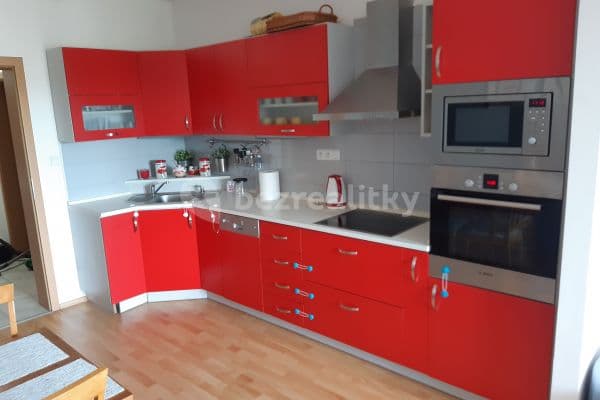 1 bedroom with open-plan kitchen flat to rent, 55 m², Nádvorní, Liberec, Liberecký Region