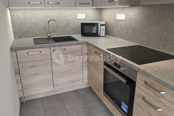 1 bedroom with open-plan kitchen flat to rent, 48 m², Sicherova, Praha