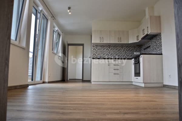 1 bedroom with open-plan kitchen flat to rent, 42 m², Horní, Psáry