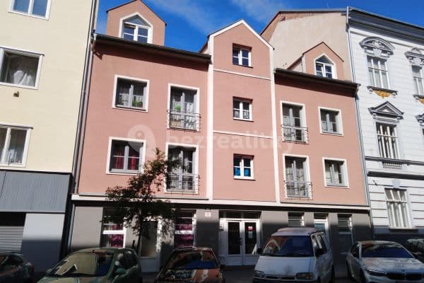 2 bedroom with open-plan kitchen flat to rent, 56 m², Stará, Brno