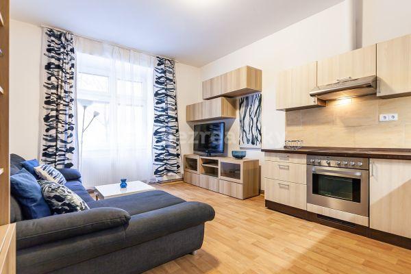 1 bedroom with open-plan kitchen flat to rent, 48 m², Malešická, Praha