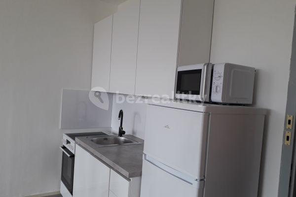 1 bedroom with open-plan kitchen flat to rent, 50 m², Lohniského, Prague, Prague