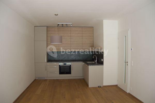 1 bedroom with open-plan kitchen flat to rent, 52 m², Naskové, Praha