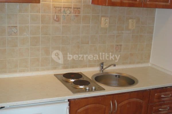 1 bedroom with open-plan kitchen flat to rent, 44 m², Moravská, Brno 1 bedroom with open-plan kitchen flat to rent, 44 m², Moravská, Brno