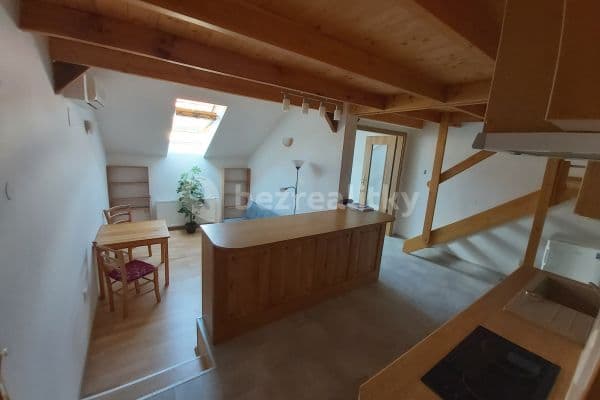 1 bedroom with open-plan kitchen flat to rent, 45 m², Americká, Praha 1 bedroom with open-plan kitchen flat to rent, 45 m², Americká, Praha
