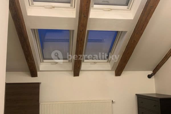 Studio flat to rent, 36 m², Milady Horákové, Praha Studio flat to rent, 36 m², Milady Horákové, Praha