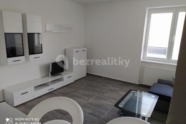 1 bedroom with open-plan kitchen flat to rent, 45 m², Petra Bezruče, 