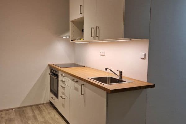 1 bedroom with open-plan kitchen flat to rent, 43 m², Roháčova, Praha 1 bedroom with open-plan kitchen flat to rent, 43 m², Roháčova, Praha