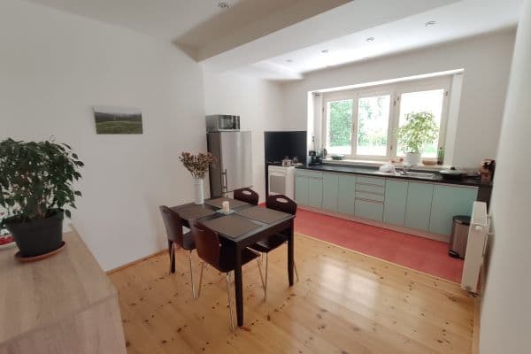 1 bedroom with open-plan kitchen flat to rent, 55 m², Nový Lesík, Praha 1 bedroom with open-plan kitchen flat to rent, 55 m², Nový Lesík, Praha